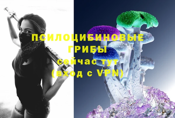 стаф Балахна